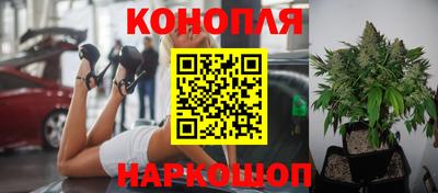 ПСИЛОЦИБИНОВЫЕ ГРИБЫ Тара